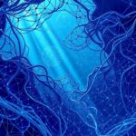 deep learning models