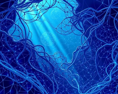 deep learning models