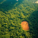 AI Use Case – Deforestation Detection via Satellite AI